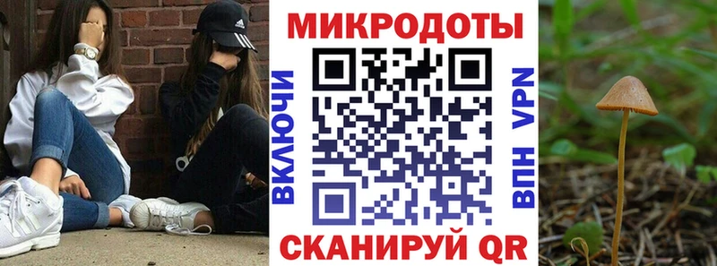 цена   Льгов  Галлюциногенные грибы прущие грибы 