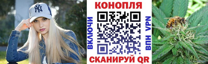 Канабис семена  гидра tor  Льгов 